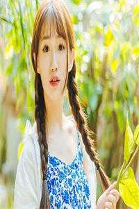 雾锁两心舟江镜修姜栀音全本免费在线阅读完结版免费阅读