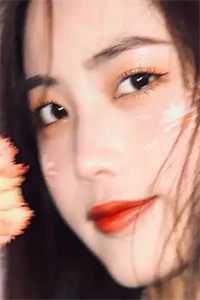 执念焚身，爱归尘宋时安沈容最新章节在线阅读