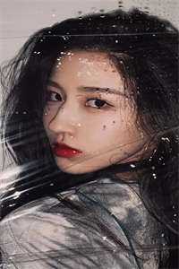 没能成为你的月亮：：前言+后续免费精彩小说完本小说下载