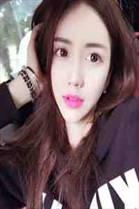 向来如梦佳期：+番外免费免费阅读完整版txt小说无删减