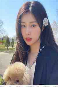 发现女儿住狗窝后，我带着功勋章杀疯了张清安燕燕全文完整版在线免费阅读小说