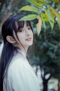 鬓边不是牡丹红：+后续+结局盛惟芳萧既明贺锦全本笔趣阁小说在线免费阅读无广告