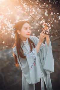妻子要为绝症白月光生孩子，我提离婚她却哭了白月光陆舟全文在线阅读精彩小说
