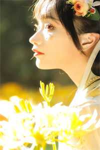 花都绝世医婿精选小说